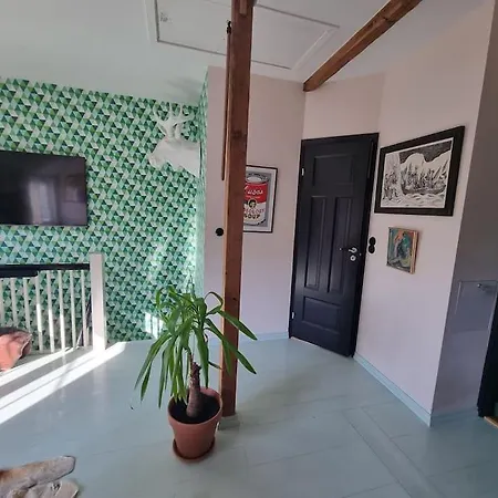 Vakkert Hus I Gamle Oslo. 3 Parkeringsplasser. Apartament Oslo